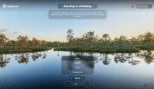 Load image into Gallery viewer, SKIN - Portfolio
