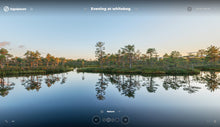 Load image into Gallery viewer, SKIN - Portfolio
